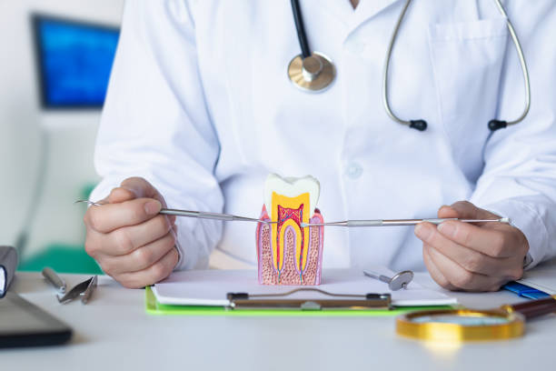 Best Emergency TMJ Treatment in Fair Grove, MO